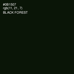 #0B1507 - Black Forest Color Image
